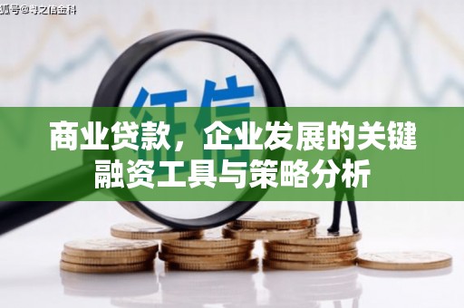 阆中商业贷款，企业发展的关键融资工具与策略分析