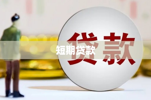 阆中短期贷款