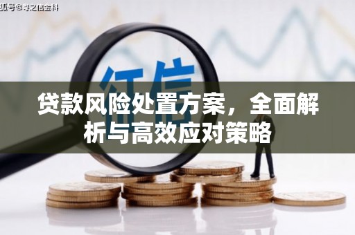 阆中贷款风险处置方案，全面解析与高效应对策略