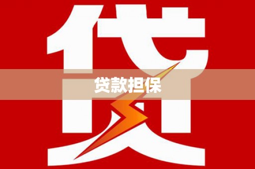 阆中贷款担保