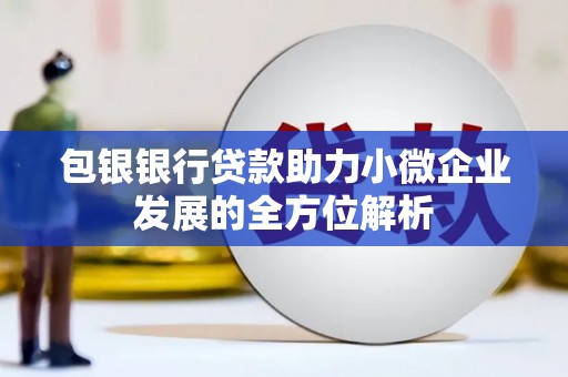阆中包银银行贷款助力小微企业发展的全方位解析