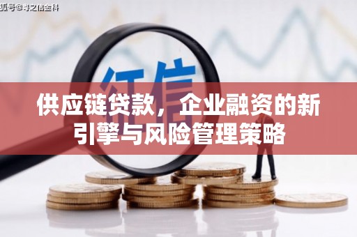 阆中供应链贷款，企业融资的新引擎与风险管理策略