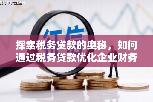 阆中探索税务贷款的奥秘，如何通过税务贷款优化企业财务