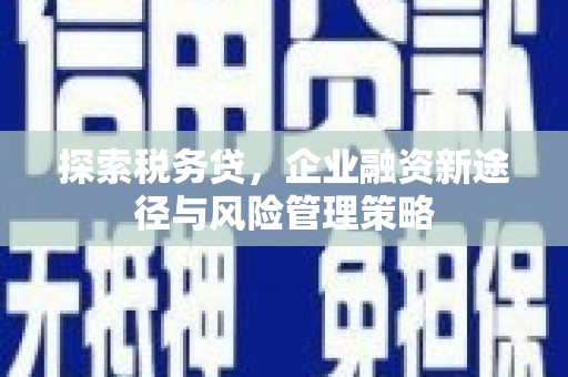 阆中探索税务贷，企业融资新途径与风险管理策略