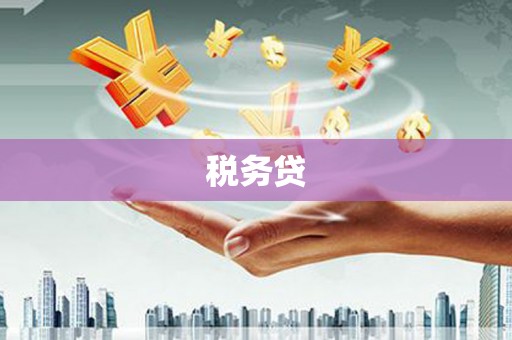 阆中税务贷
