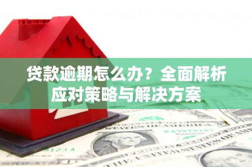阆中贷款逾期怎么办？全面解析应对策略与解决方案