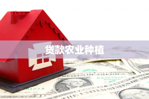 阆中贷款农业种植
