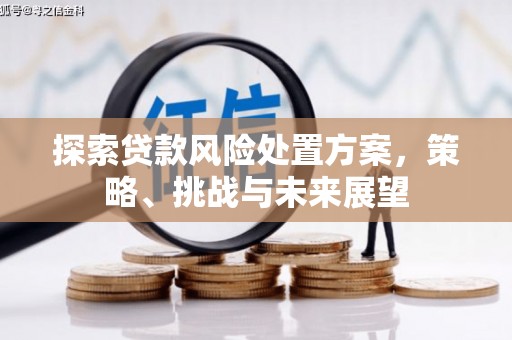 阆中探索贷款风险处置方案，策略、挑战与未来展望