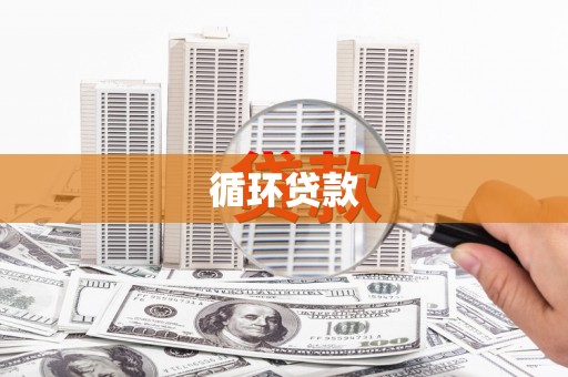 阆中循环贷款