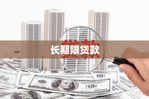 阆中长期限贷款