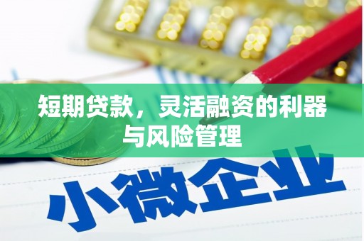 阆中短期贷款，灵活融资的利器与风险管理