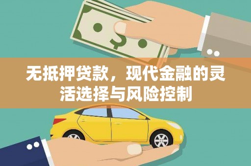 阆中无抵押贷款，现代金融的灵活选择与风险控制