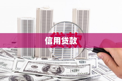 阆中信用贷款