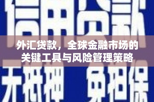 阆中外汇贷款，全球金融市场的关键工具与风险管理策略