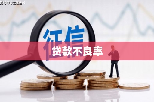 阆中贷款不良率