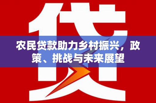 阆中农民贷款助力乡村振兴，政策、挑战与未来展望