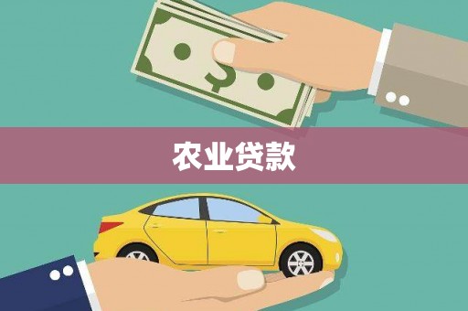 阆中农业贷款