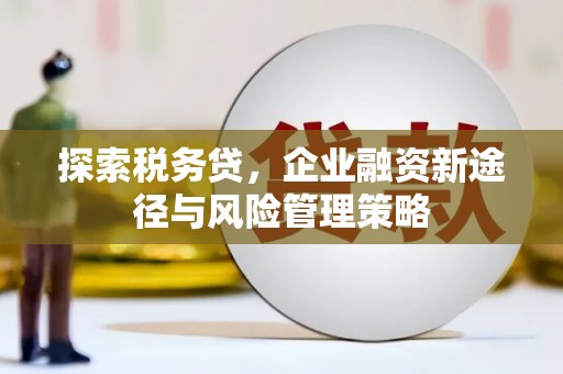 阆中探索税务贷，企业融资新途径与风险管理策略