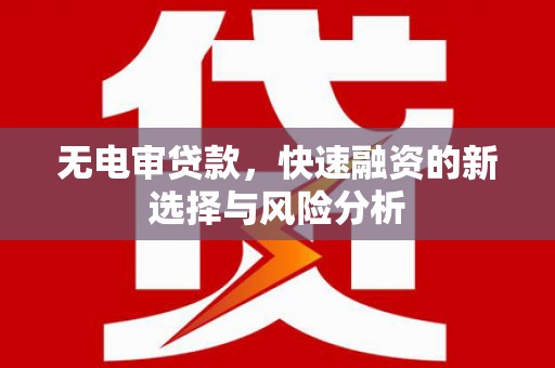 阆中无电审贷款，快速融资的新选择与风险分析