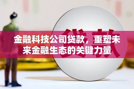 阆中金融科技公司贷款，重塑未来金融生态的关键力量