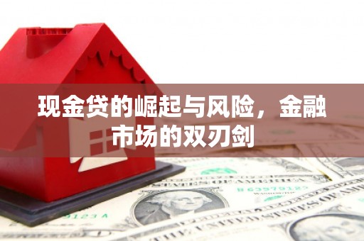 阆中现金贷的崛起与风险，金融市场的双刃剑
