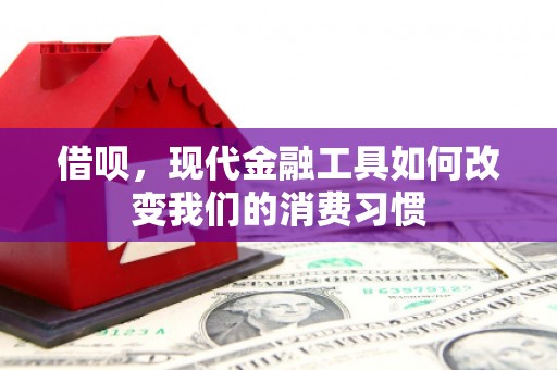 阆中借呗，现代金融工具如何改变我们的消费习惯