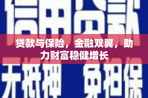 阆中贷款与保险，金融双翼，助力财富稳健增长