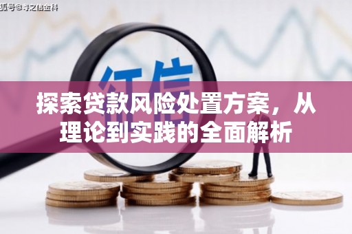 阆中探索贷款风险处置方案，从理论到实践的全面解析