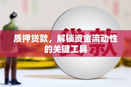 阆中质押贷款，解锁资金流动性的关键工具