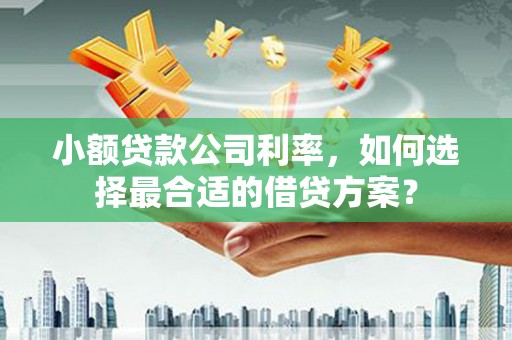 阆中小额贷款公司利率，如何选择最合适的借贷方案？