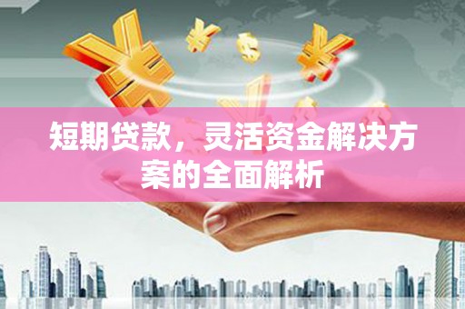 阆中短期贷款，灵活资金解决方案的全面解析