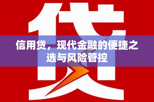 阆中信用贷，现代金融的便捷之选与风险管控