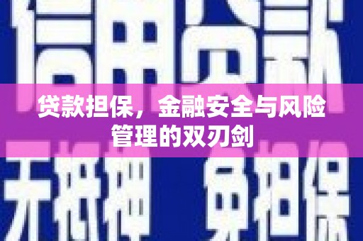 阆中贷款担保，金融安全与风险管理的双刃剑
