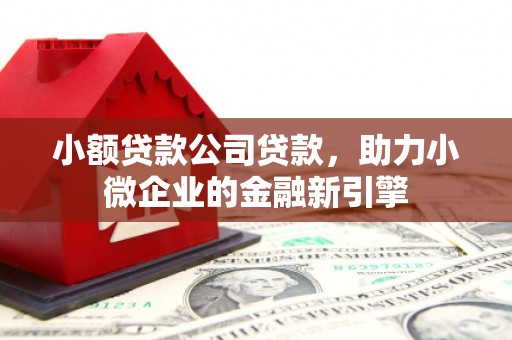 阆中小额贷款公司贷款，助力小微企业的金融新引擎