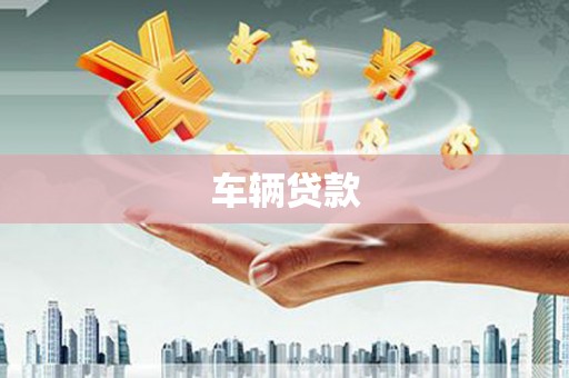 阆中车辆贷款