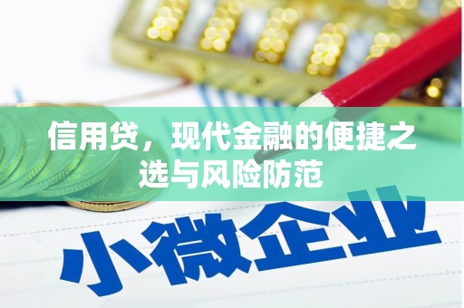阆中信用贷，现代金融的便捷之选与风险防范