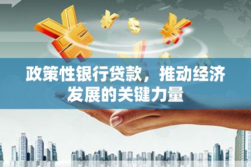阆中政策性银行贷款，推动经济发展的关键力量