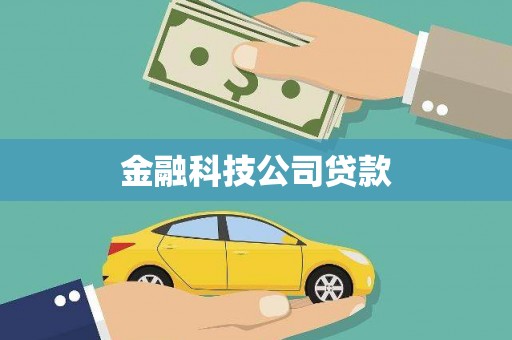 阆中金融科技公司贷款