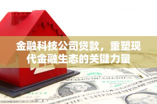 阆中金融科技公司贷款，重塑现代金融生态的关键力量