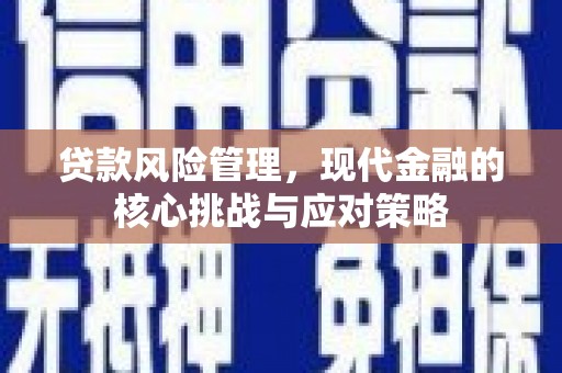 阆中贷款风险管理，现代金融的核心挑战与应对策略