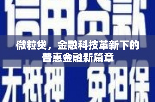 阆中微粒贷，金融科技革新下的普惠金融新篇章