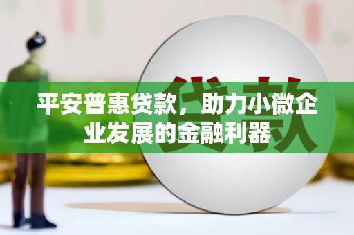 阆中平安普惠贷款，助力小微企业发展的金融利器