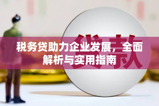 阆中税务贷助力企业发展，全面解析与实用指南