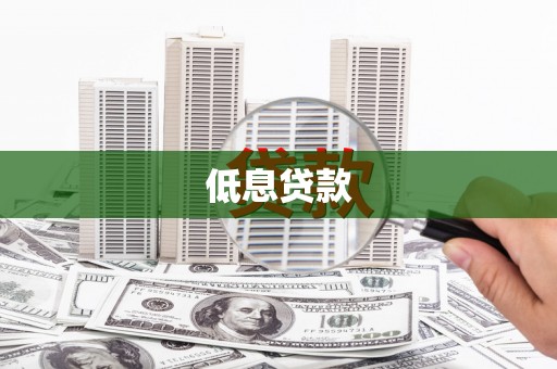 阆中低息贷款