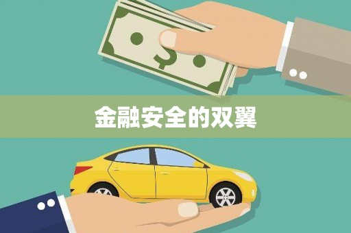 阆中金融安全的双翼