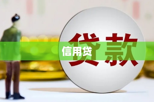 阆中信用贷