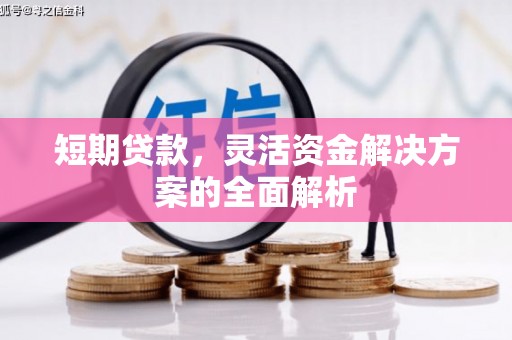 阆中短期贷款，灵活资金解决方案的全面解析