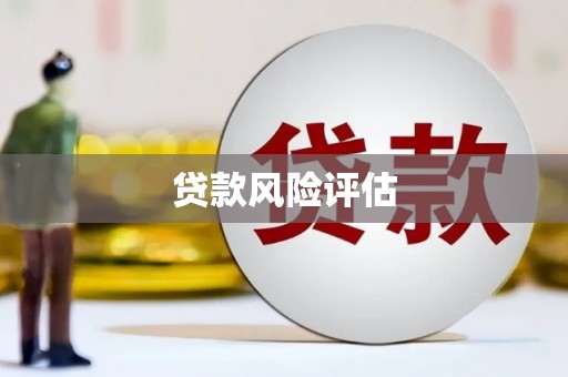 阆中贷款风险评估