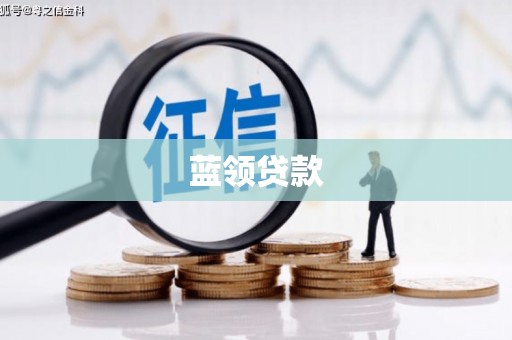 阆中蓝领贷款