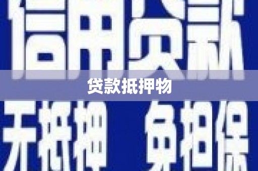 阆中贷款抵押物